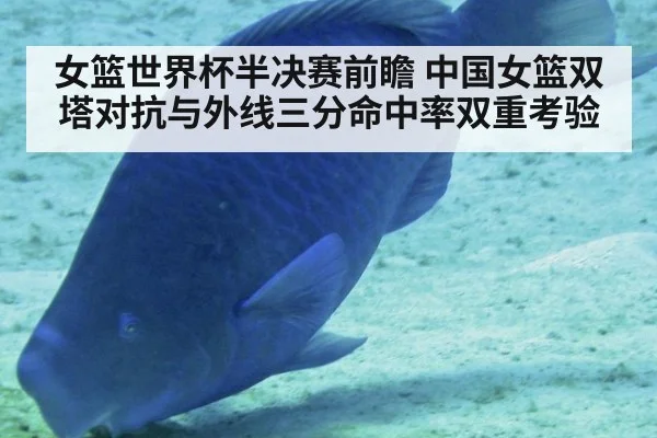 女篮世界杯半决赛前瞻 中国女篮双塔对抗与外线三分命中率双重考验